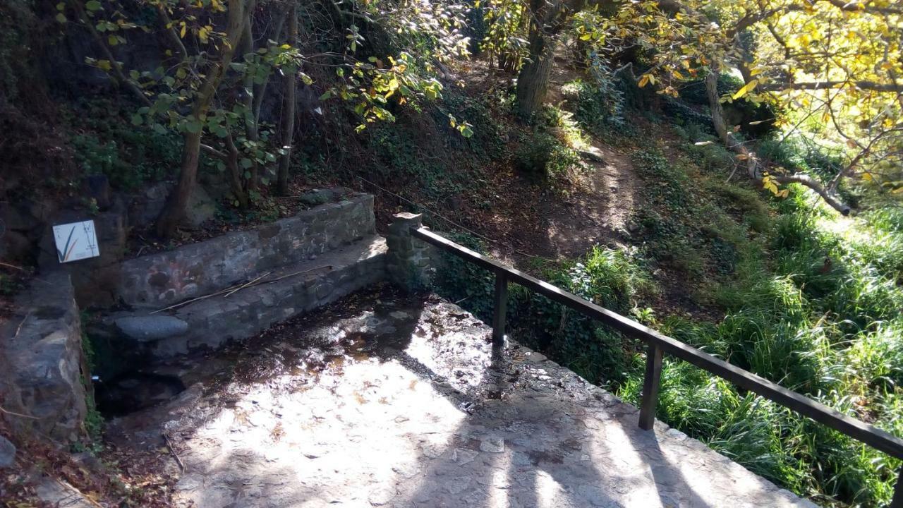 Apartament Rural Vilaplana Luaran gambar